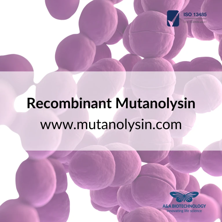 Mutanolizyna – doskonałe narzędzie do badań i diagnostyki