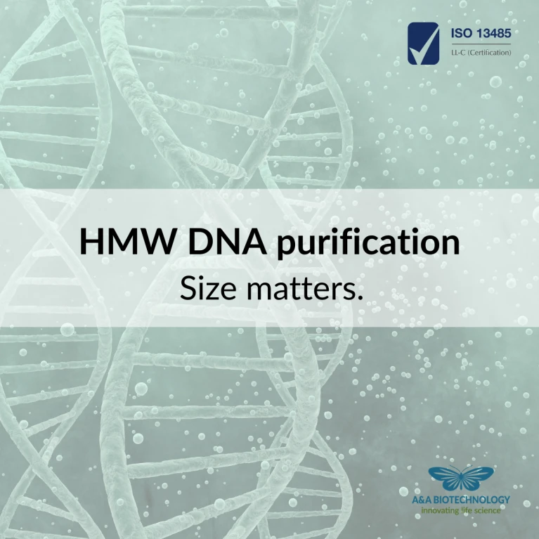 HMW DNA purification