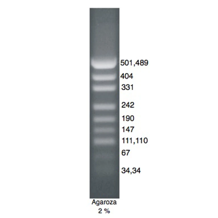 DNA Marker pUC/Msp I DNA Marker pUC/Msp I