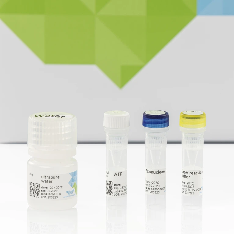 Exonuclease V (RecBCD)