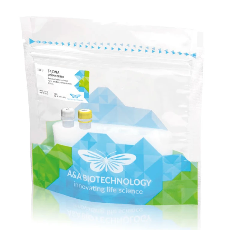 T4 DNA polymerase T4 DNA polymerase